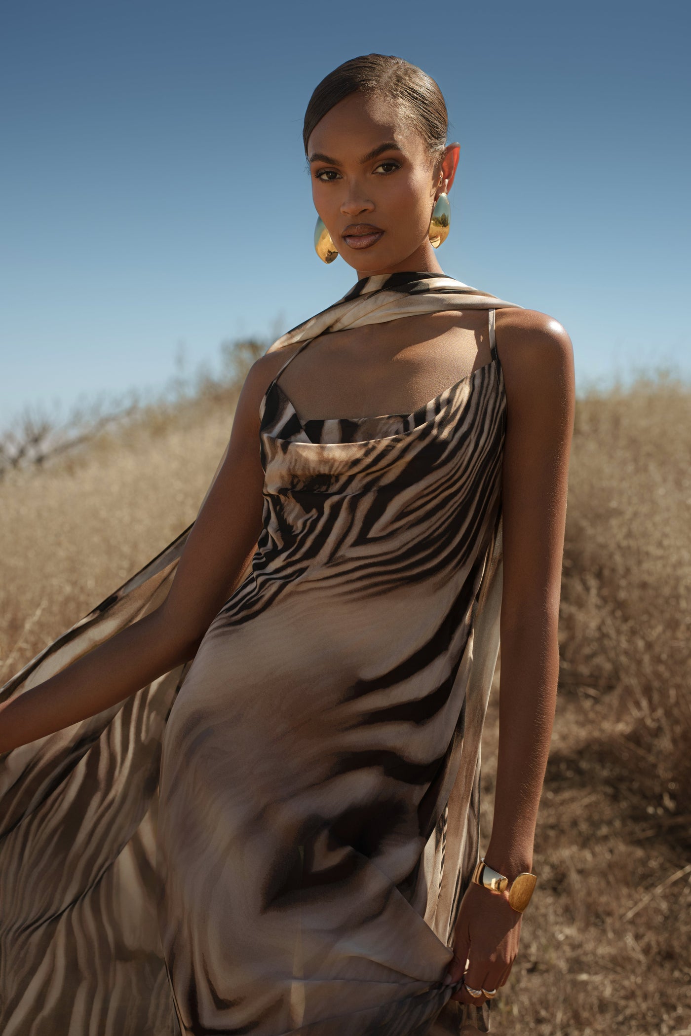 Brown Zebra Print Infinite Journey Maxi Dress - Velia
