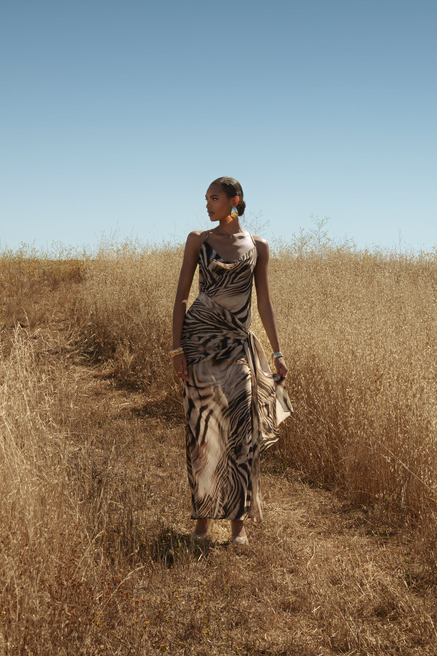 Brown Zebra Print Infinite Journey Maxi Dress - Velia