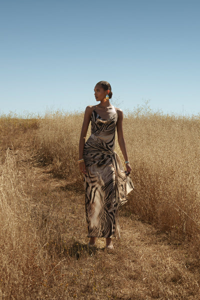 Brown Zebra Print Infinite Journey Maxi Dress - Velia