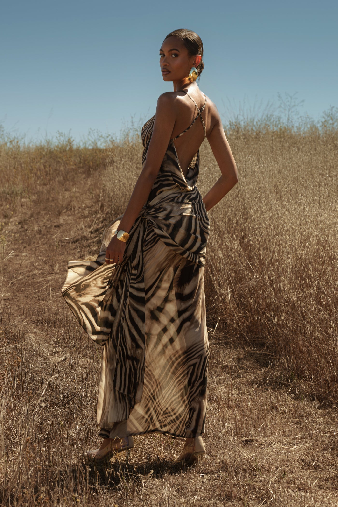 Brown Zebra Print Infinite Journey Maxi Dress - Velia