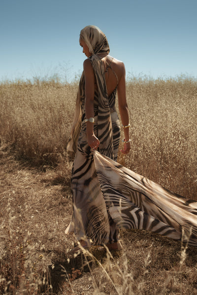Brown Zebra Print Infinite Journey Maxi Dress - Velia