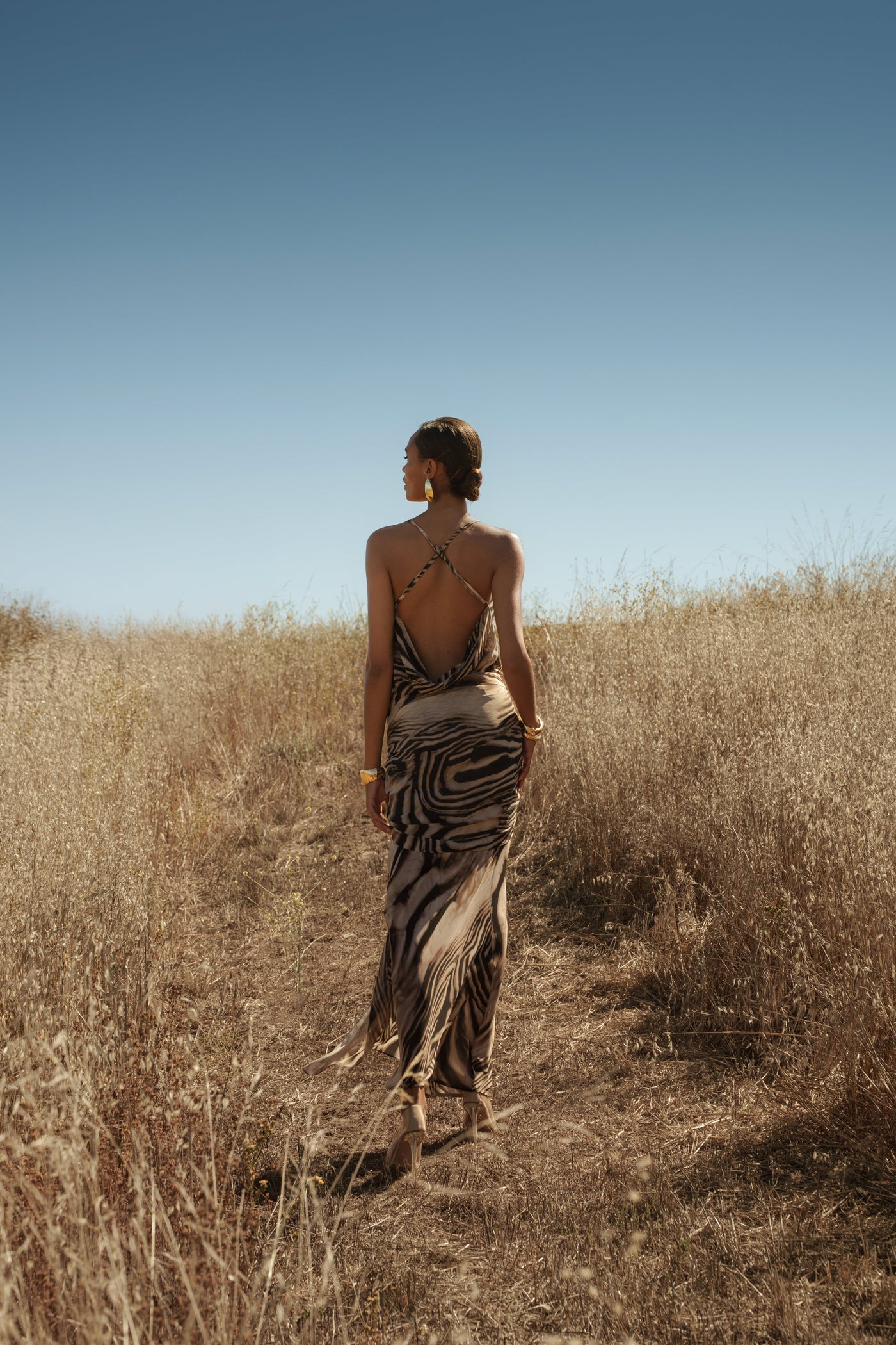 Brown Zebra Print Infinite Journey Maxi Dress - Velia