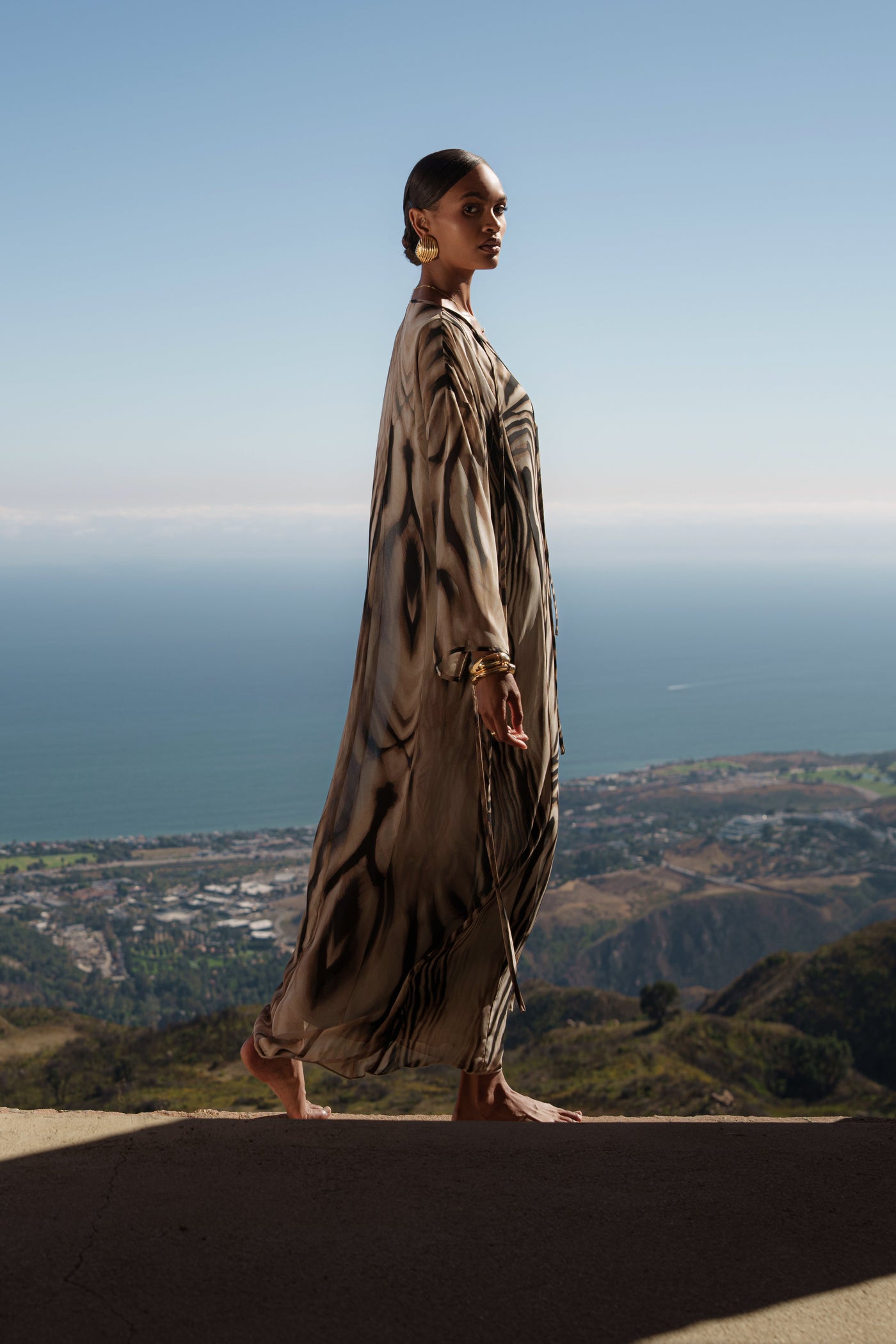 Brown Zebra New Vista Maxi Dress - Velia