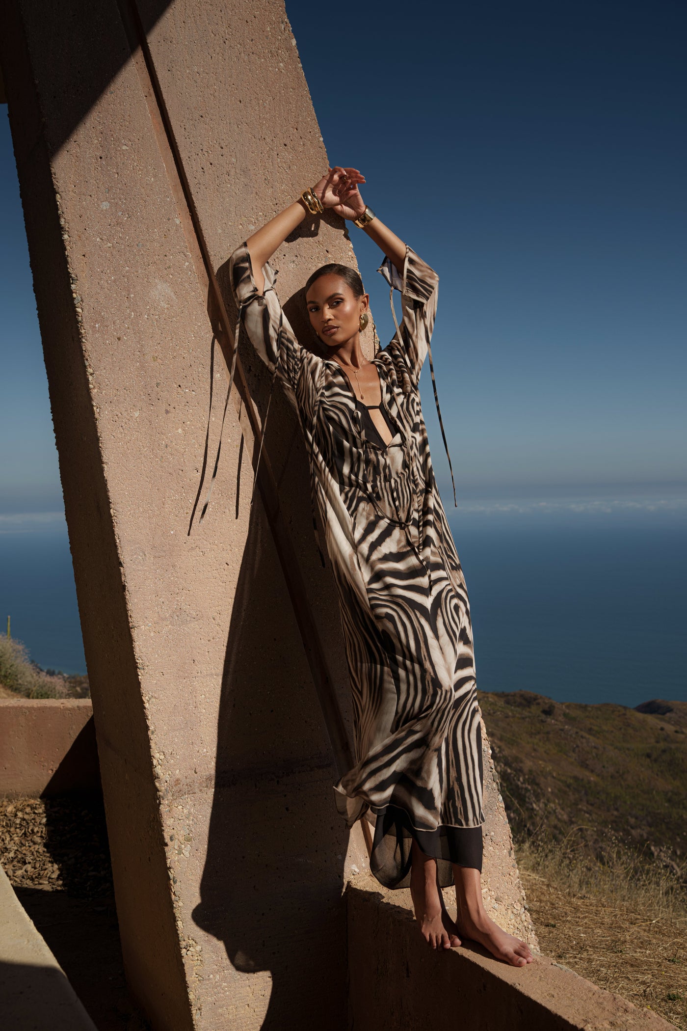Brown Zebra New Vista Maxi Dress - Velia
