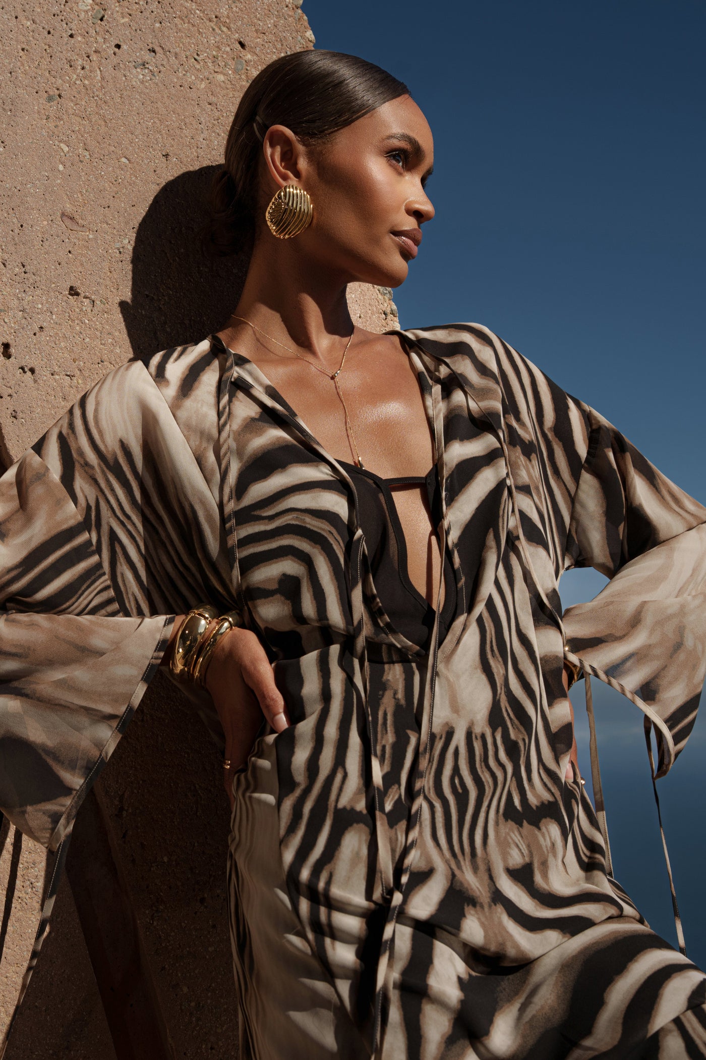 Brown Zebra New Vista Maxi Dress - Velia